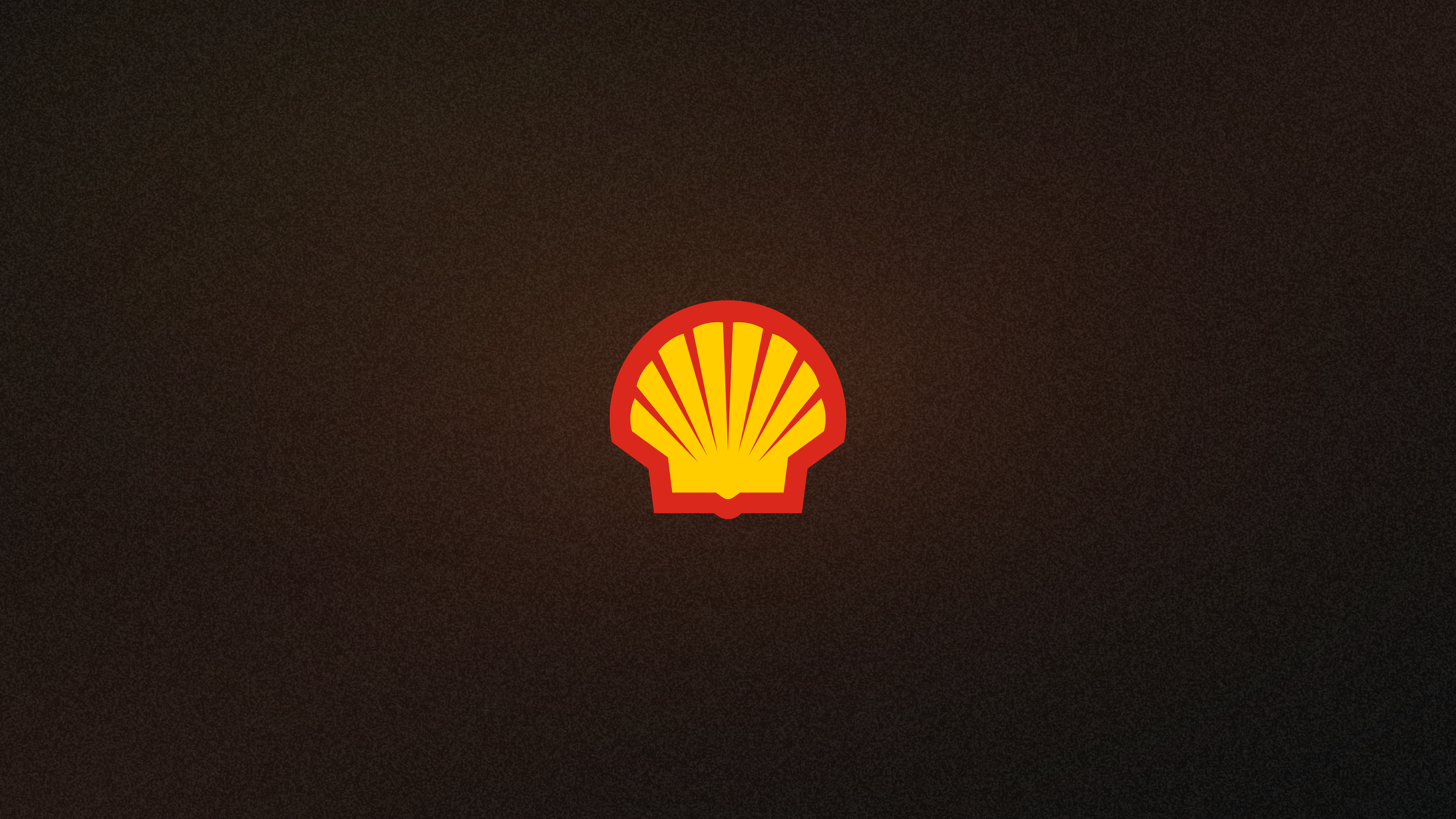 Shell pecten centered on a dark, warm-toned textured background